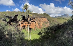 A cliffside with trees and a blue sky