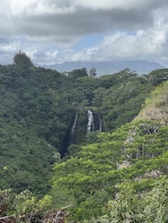 A waterfall set in a forest