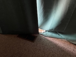 Paws peeking out from dark curtains